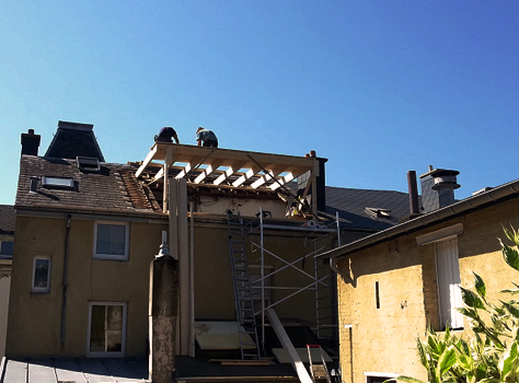 Bild_2026-02-05_105020125