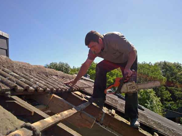 Bild_2026-02-05_110519331